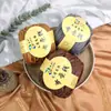 Ovillos de hilo grandes y muy elásticos, hilo grueso, hilo para ganchillo, para hacer pantuflas, mantas para cunas de bebé y otras manualidades hechas a mano - un kit de material de tejer DIY