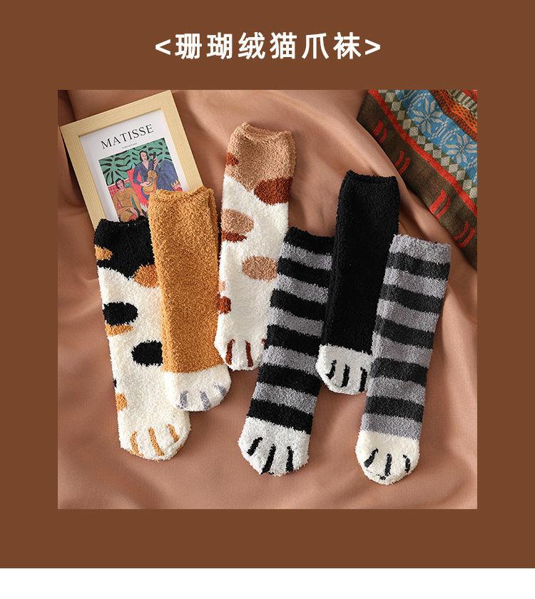 猫爪