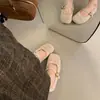 Nuevos Zapatos Mary Jane de Piel de Terciopelo Plus Zapatos de Noche Zapatos con Temperamento Zapatos de Mujer Individuales Estilo Coreano Ropa Exterior 2026 Otoño Invierno Hebilla de Una Sola Tira