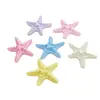 Estrela do Mar Artificial Grande Multicolorida Criativa Feita à Mão DIY Acessórios de Cola de Creme Pequenos Acessórios de Resina Materiais para Joias Atacado