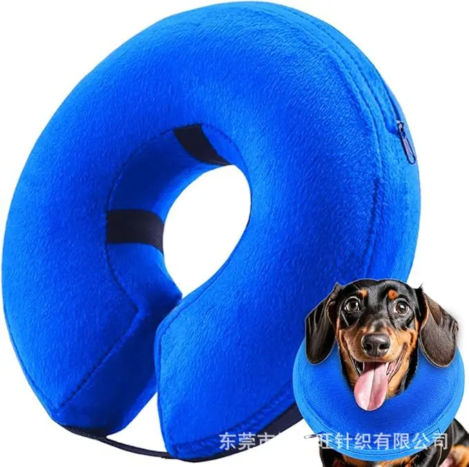 蓝灰狗脖圈