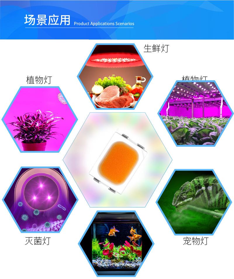 B详情3020-04