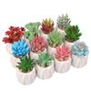 Planta Suculenta Simulada Macetas, Decoración de Muebles de Oficina Nórdicos, Nuevas Suculentas Bonsái Simuladas de Alta Calidad para el Hogar