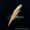Juncos Simulados de 15 Cabeças, Capim-dos-pampas Artificial, Grama Pampas, Estilo Simples Escandinavo Decoração de Janela Transfronteiriça
