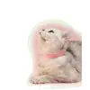 Coleira Antipulgas e Carrapatos Gato Amarela para Prevenir Pulgas e Carrapatos, Coleira para Cachorro, Coleira para Animal de Estimação, Coleira para Gato, 1 Peça 02