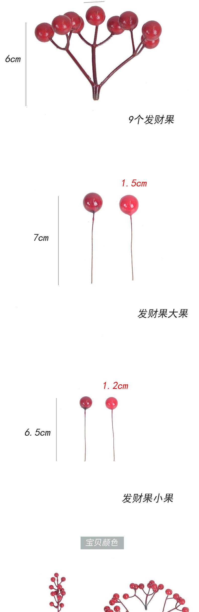发财果_02.jpg