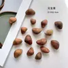 Yuanbao FrutaFlores Secas Naturales Frutas Campanilla de Viento de Cáscara de Fruta Hecha a Mano Material para Bricolaje Accesorios de Flores Preservadas Navidad