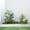 Simulación Planta Verde Paisajismo Planta Paisaje Combinación Adornos Exterior Maceta Alta Gama Lujo Ligero Flor Artificial Interior Piso Maceta