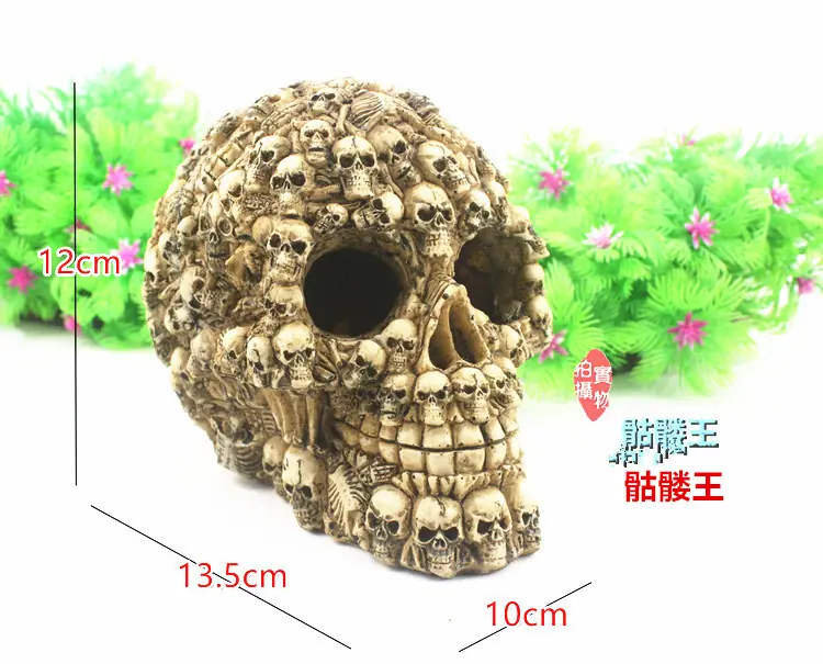 骷髅王