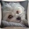 Funda de Almohada de Perro de Alpaca Más Vendida Transfronteriza, Linda Funda de Cojín Decorativa para Dormitorio de Gato, Hogar, Sofá