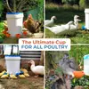 Bebedero para pollos comercio exterior transfronterizo pollo, pato y ganso dispositivo de bebida automática bebedero para aves de corral alimentador de agua para incubación