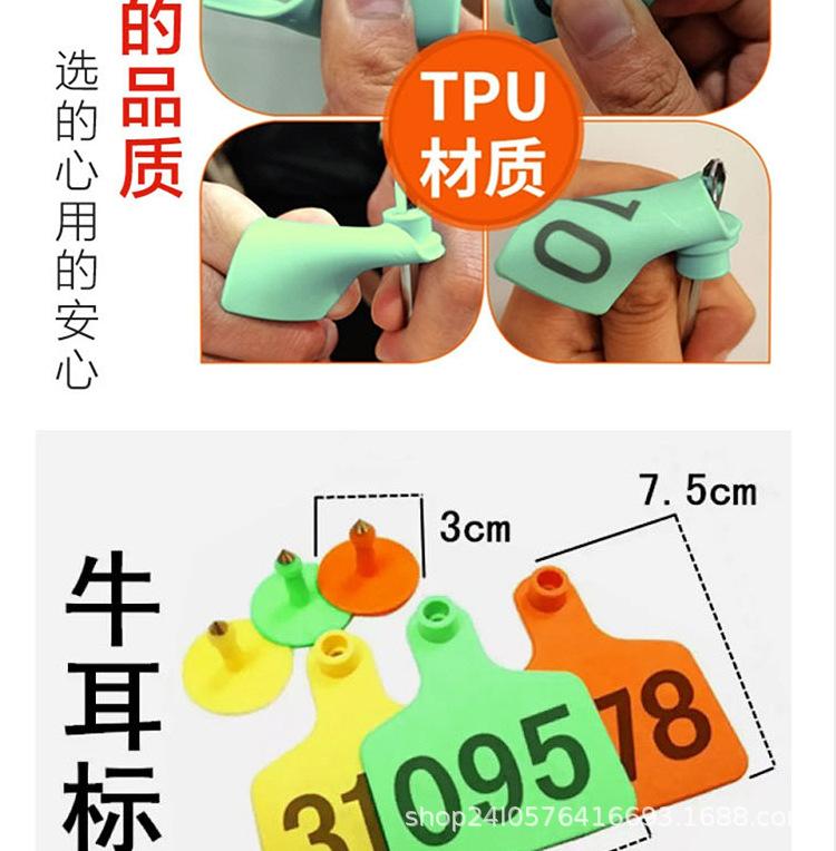 耳标_04.jpg