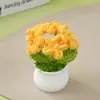 Producto Terminado: Flores Artificiales de Nomeolvides Tejidas a Crochet Puras Hechas a Mano, Flores de Hilo de Crochet Hechas por Uno Mismo, Regalo de San Valentín, Regalo de Cumpleaños, Regalo de Graduación
