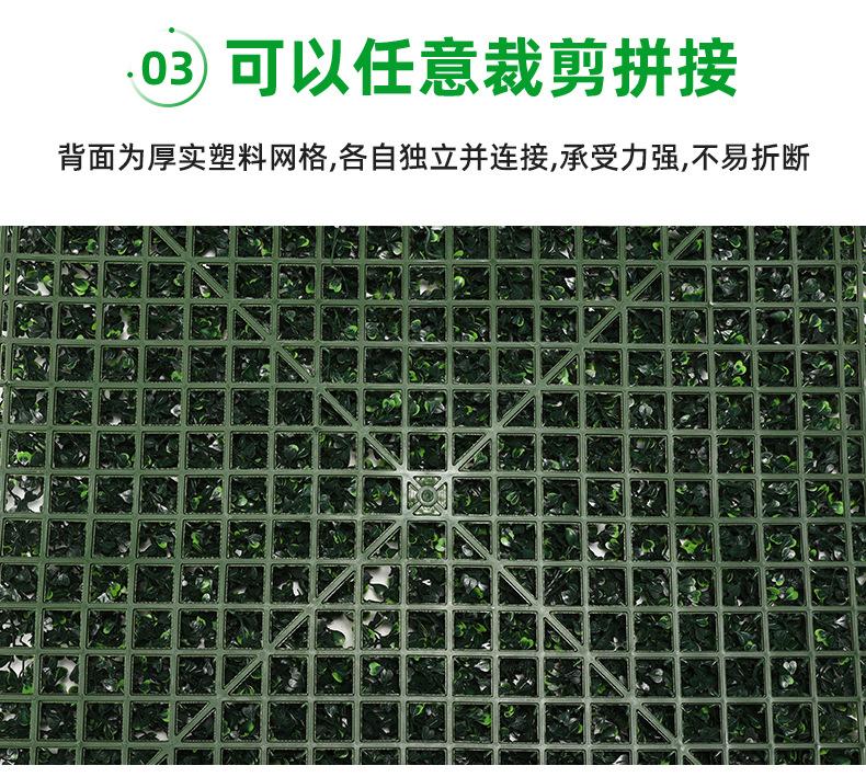 AG004新详情_05.jpg