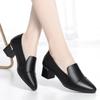 Sapatos femininos de salto grosso de camada única primavera e outono 2024 novos sapatos femininos de duas vias sapatos de couro para mulheres de meia-idade sapatos de mãe sapatos pretos para trabalho