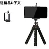 Suporte de celular polvo, tripé, suporte para fotografia de mesa e ao ar livre, gadget selfie multifuncional, portátil, atacado