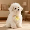 Collar para Gatos, Popular Accesorio Transfronterizo para Mascotas, Perro Pequeño Dopamina Navidad Nuevo Estilo Collar para Perros Decoración para Mascotas