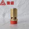 2104110484 Válvula de Seguridad Fusheng Original de 2", 14 Bares de Apertura Total Adecuada para Compresor de Tornillo Sa200A-8-C