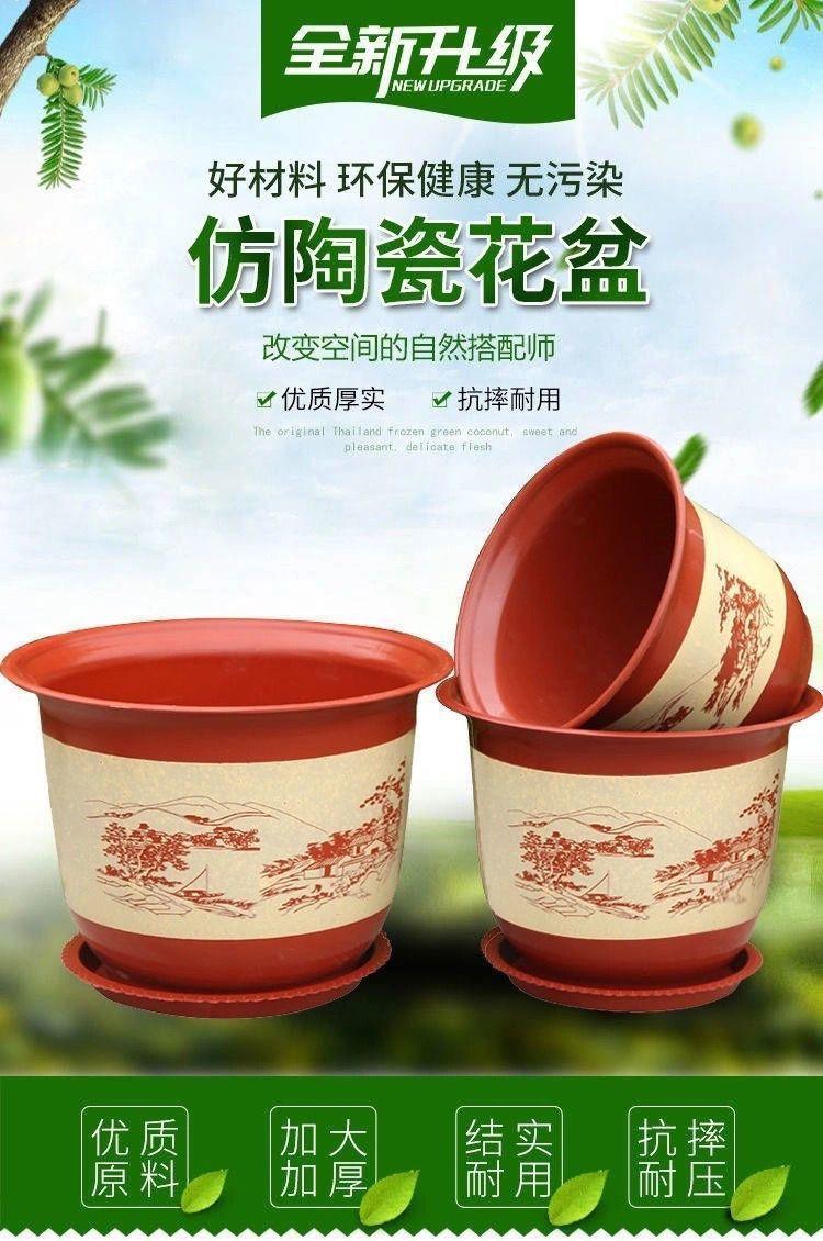 955351a6-f8c0-47df-b5be-cad2cf069d75.jpe