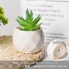 Tetera de Porcelana Blanca Dehua Maceta Suculenta Blanco Puro Jardinería Moderna para el Hogar Cerámica Maceta Pequeña Transfronteriza Simple Maceta para Suculentas