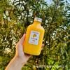 Botella Gruesa de 360ml Forma de U Botella para Té de Leche Desechable Ramas de Álamo Botella de Mannan con Tapa Empaque Grado Alimenticio Comercial PET