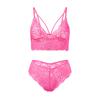 Ropa interior sexy de encaje francés europeo y americano para mujer, fina, sin aros de acero, con hermoso sujetador en la espalda, braguitas sexys de cintura baja.
