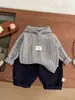 Ropa Coreana para Niños Niños Otoño 2025 Tejidos Moda para Bebés Sencillo Elegante Suéter con Capucha Gris Pulóver