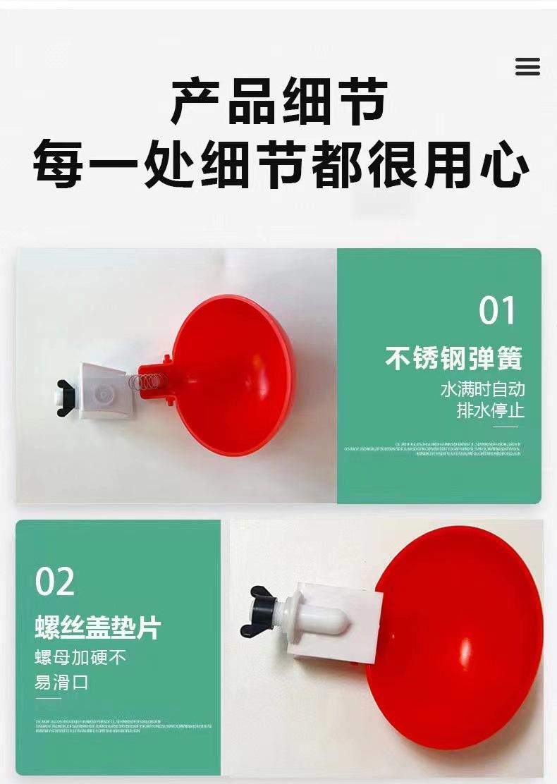 详情页 (6).jpg