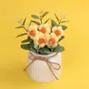 Flores de Pomponcito en Maceta de Hilo Acabado Transfronterizo Adornos Tejidos a Mano Regalos Escritorio de Oficina Plantas Artificiales en Maceta Venta al por Mayor