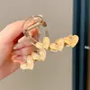 Pinza Grande para el Cabello con Alto Volumen, Aspecto de Alta Gama, Pinza para el Cabello con Moño Mediano, Pinza Grande Acrílica Sencilla, Accesorio para el Cabello para Mujer