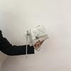 2026 Nuevo Bolso Cruzado de Moda Estilo Chanel para Mujer con Cadena, Sensación de Alta Gama, Bolso Pequeño Cuadrado Acolchado de un Solo Hombro
