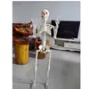 Nuevo Producto Pesado Calavera Articulada Ajustable Halloween Horror Adornos Cuerpo de Calabaza Esqueleto 40 90cm Soporte de Calavera