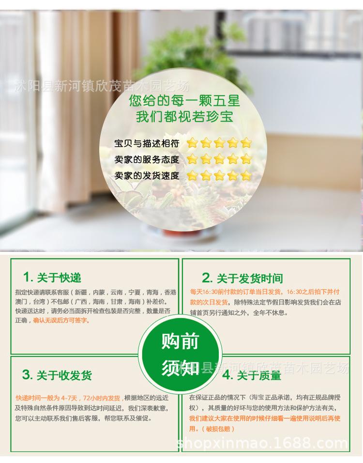 托盘 (10)