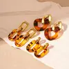 Pendientes de Cadena Geométricos de Leopardo Exagerados Europeos y Americanos de Aguja de Plata Pendientes de Tendencia de Moda Pendientes Elegantes Retro Maillard para Mujeres