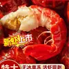 Colas de Cangrejo de Río de Tamaño Grande, Congeladas Sin Recubrimiento de Hielo, Frescas, Congeladas Individualmente, Caja Completa, 5 kg al por Mayor, Qianjiang