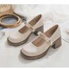 Sapatos Femininos Mary Jane 2026 Novos Sapatos de Salto Alto com Salto Grosso para Primavera e Outono Combinados com Saias, Sapatos Pequenos de Couro, Sapatos Individuais Delicados Estilo Fada