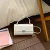 Bolso Pequeño Texturizado con Patrón de Cocodrilo Transfronterizo para Mujer 2026 Nuevo Estilo Bolso de Mano con Bloques de Color Elegante Bolso Cruzado de Alta Gama