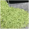 Fabricante Venta al por Mayor Rosa Púrpura Amarillo Verde Blanco Grava de Cristal Piedra en Bruto Tazón Desmagnetizador Almohada de Cristal Pecera Maceta Decoración Artesanía