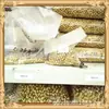 Cuentas de sandía cuentas de linterna cuentas rayadas de calabaza cuentas accesorios para joyería DIY