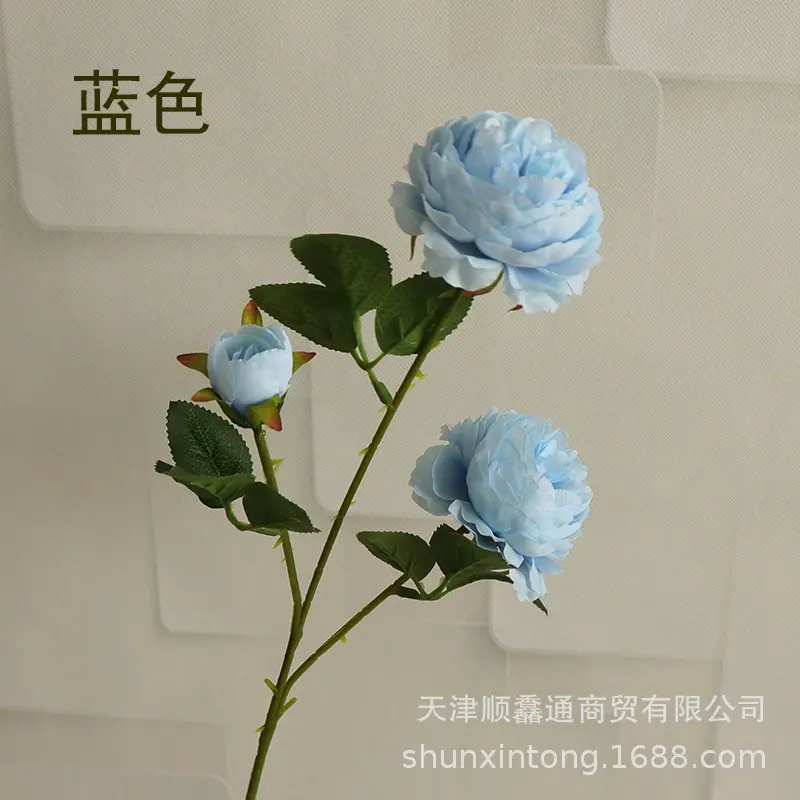 三叉洋牡丹蓝色1.jpg