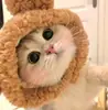 Acessório de Cabeça de Menino Três Olhos para Pet Estrela do Mar Snapper Chapéu Leitão Frango Gato Urso Panda Acessório de Cabeça Fantasia Engraçada