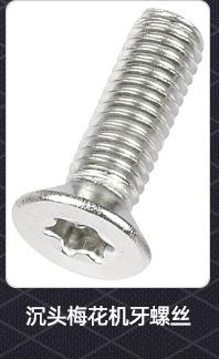 圆头防盗梅花螺丝_02_08.jpg