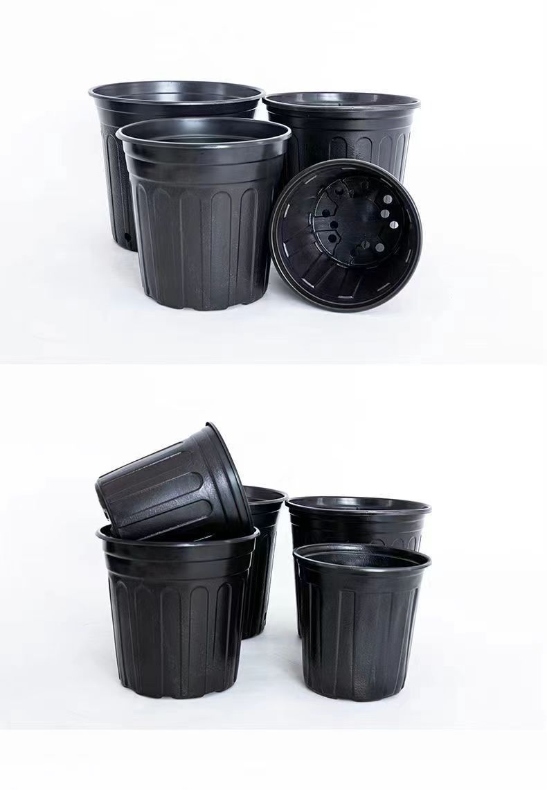 加仑图2