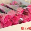 Flores Artificiales, Rosas, Claveles, Flores de Jabón, Tallo Único, Regalos para el Día de San Valentín, Regalos Pequeños, Recuerdos para Eventos del Día del Maestro, Comercio Exterior