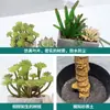 Personalización de Plantas Simuladas, Nuevo y Creativo Wholesale de Plantas en Maceta Simuladas, Estilo Escandinavo Bonsái Simulado Decoración del Hogar Plantas Verdes