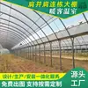 Estufas Multispan Lado a Lado para Hortaliças, com Sombreamento Externo e Isolamento Interno, Estufas Agrícolas, Estufas Prontas para Viveiros, Fornecimento de Flores de Jardim