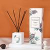 Estoque de fábrica estilo nórdico perfume líquido de aromaterapia sem fogo fragrância para ambiente interno casa presentes para acompanhante feminina Presentes Atacado