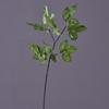 Productos de fábrica originales simulación Hoja al por mayor simulación Hoja de Sabah planta de hoja de té Kuding arreglo de pared de plantas con adornos de plantas verdes