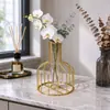 Florero de Tubo Acrílico con Arte de Hierro Estilo Ins para Sala de Estar, Vestíbulo, Sala de Té, Hotel, Decoraciones de Boda, Florero Pequeño