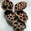 Lótus Natural Cabeça de Lótus Seca Sem Sementes Enfeites de Vaso Flores Secas Frutas Secas Artesanato Decorativo